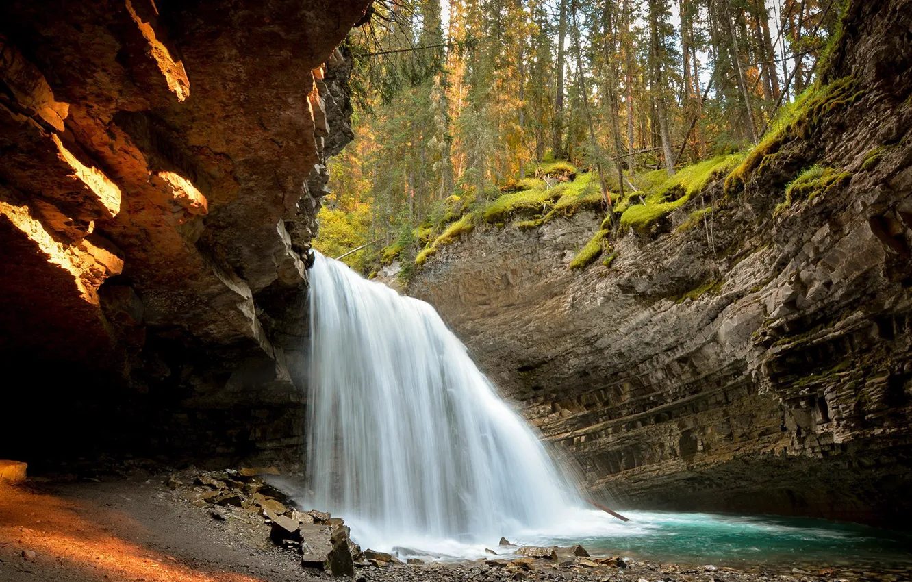 Фото обои Banff National Park, Alberta, forest, Canada, photography, trees, landscape, nature
