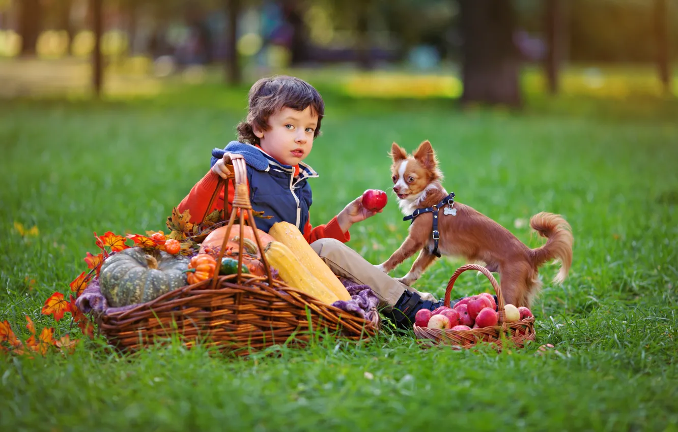 Фото обои осень, трава, листья, дети, парк, настроение, газон, корзина