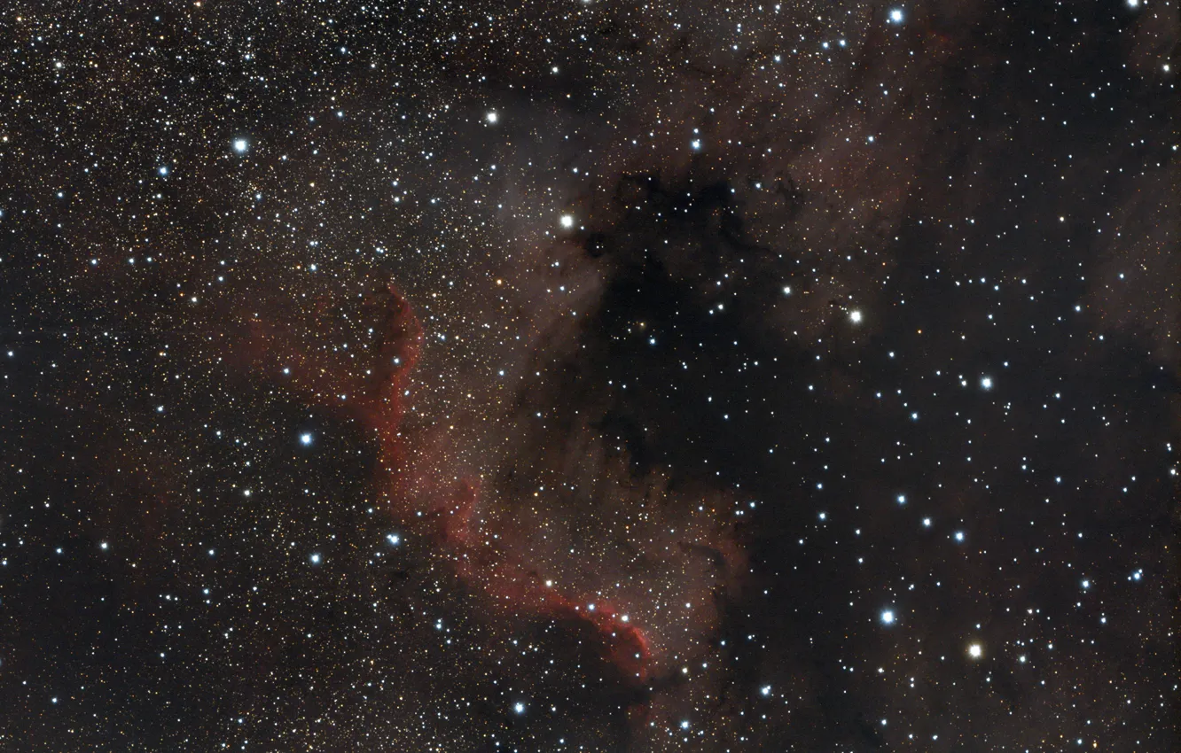 Фото обои Космос, Туманность, Северная Америка, NGC7000