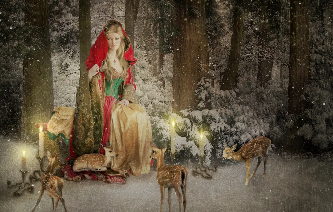 Фото обои зима, лес, снег, свечи, олени, новогодняя открытка, Mrs Claus
