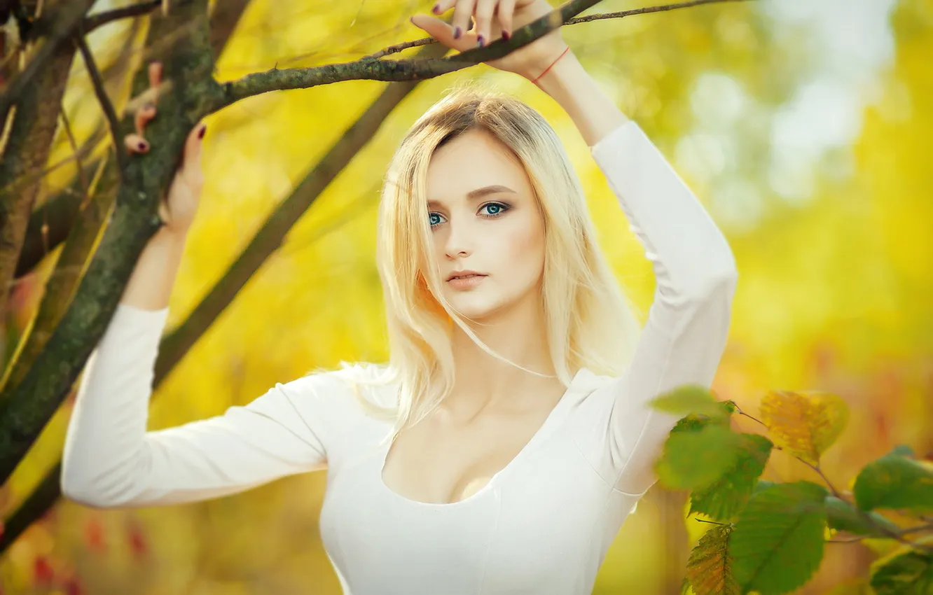 Фото обои Blue, Autumn, Yellow, Eyes, Blonde, View, Lips, Leaves