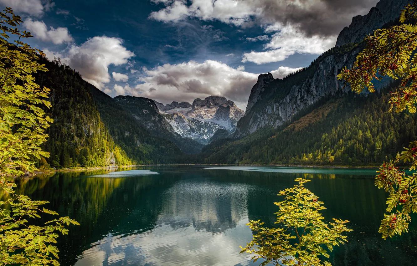 Фото обои горы, ветки, озеро, отражение, Австрия, Альпы, рябина, Austria