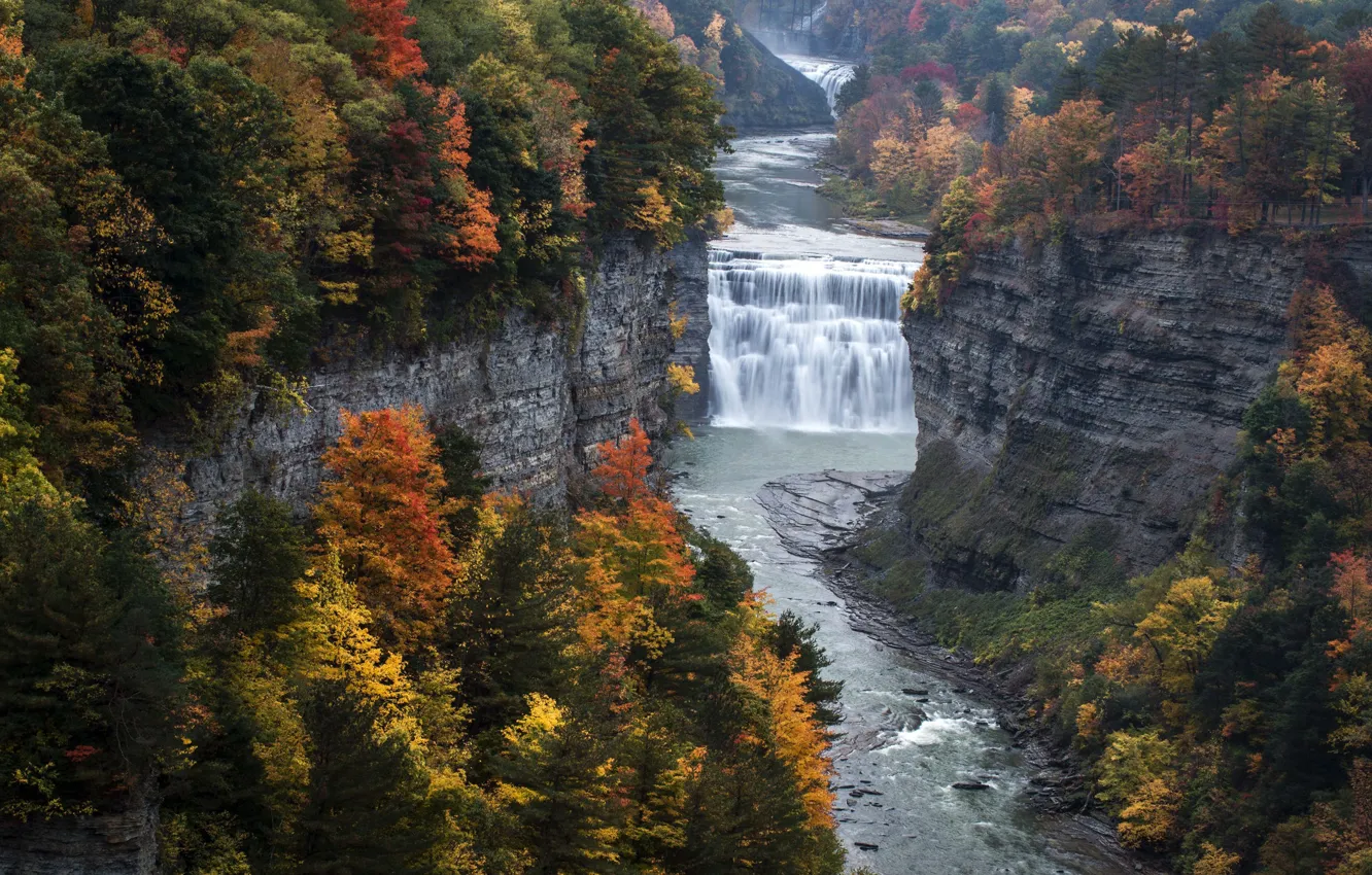 Фото обои деревья, река, скалы, водопад, каньон, штат Нью-Йорк, водопад Мидл Фолс, Государственный Парк Летчворт