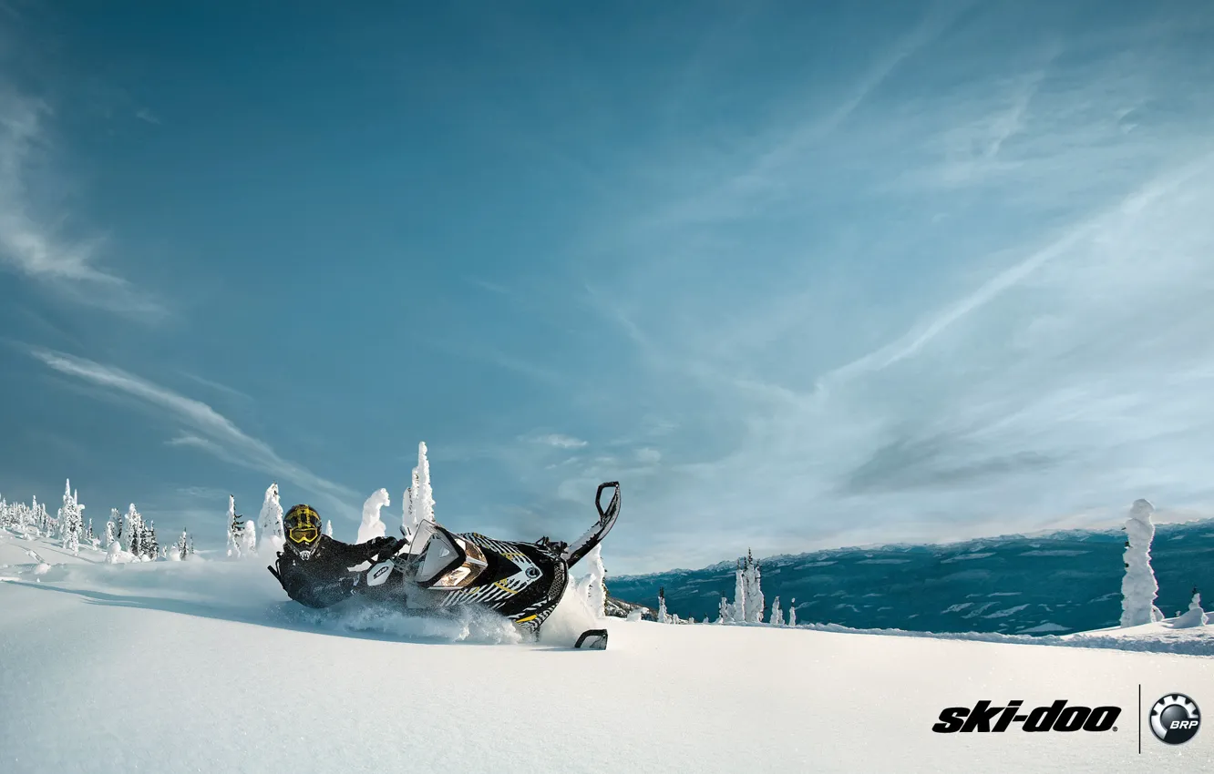 Фото обои лес, небо, снег, спорт, sport, snow, снегоход, 600