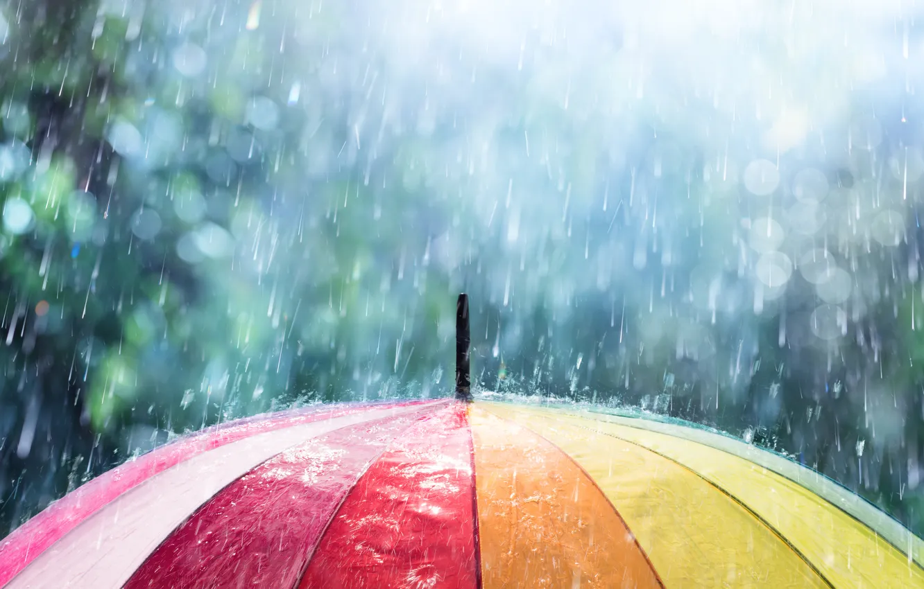 Фото обои colors, rain, umbrella