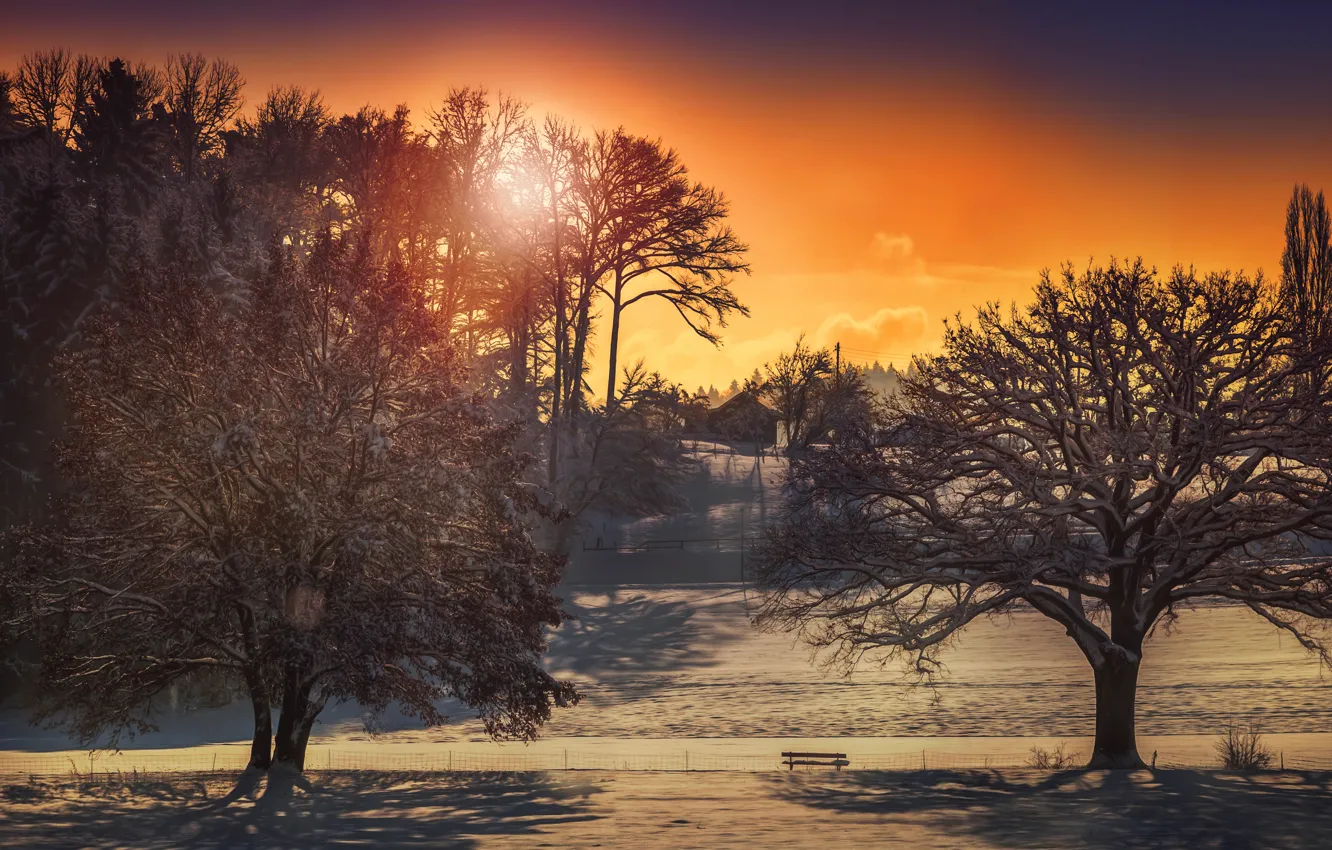 Фото обои зима, солнце, деревья, дома, обработка
