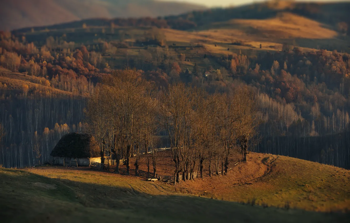 Фото обои осень, деревья, пейзаж, природа, дом, холмы, леса, луга