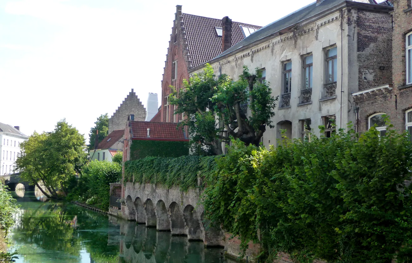 Фото обои зелень, деревья, мост, дома, канал, Бельгия, кусты, Bruges