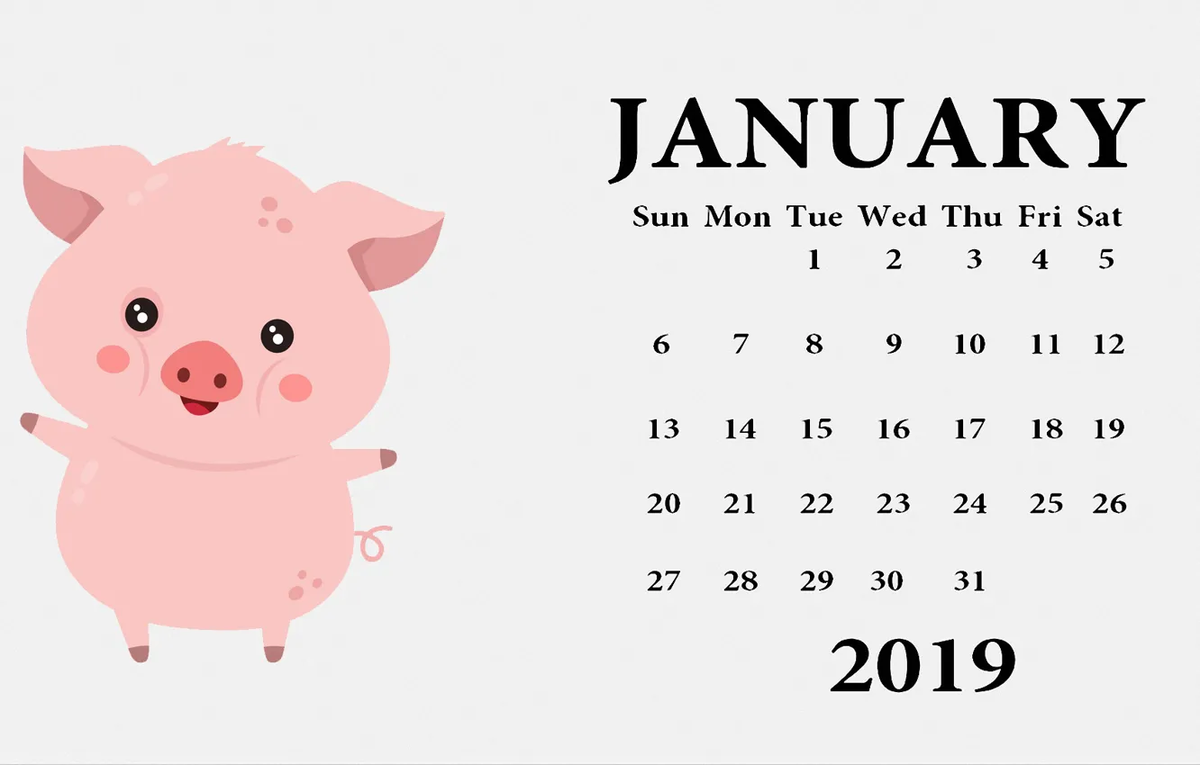 Фото обои свинья, поросенок, календарь на 2019 год