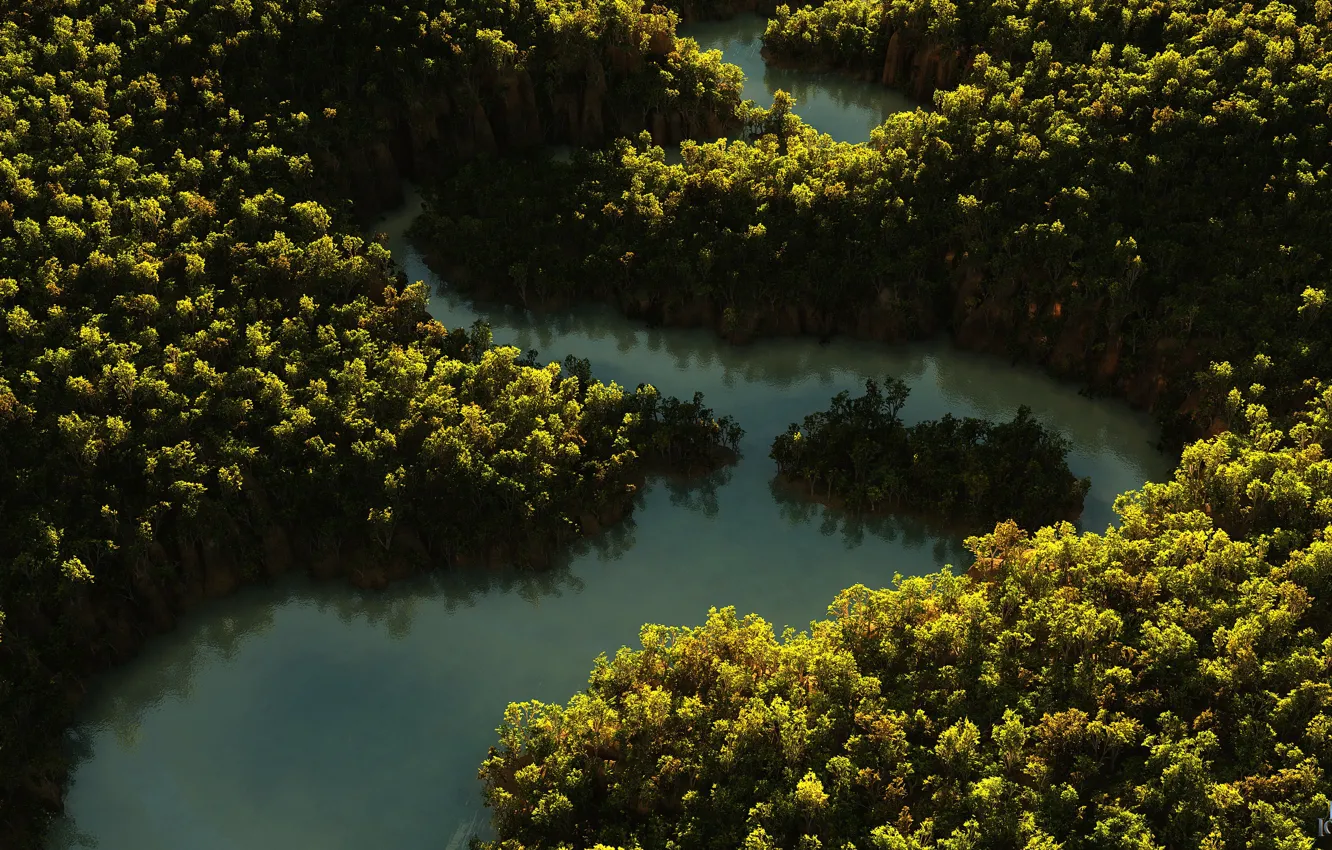 Фото обои лес, лето, природа, река, Snake Creek