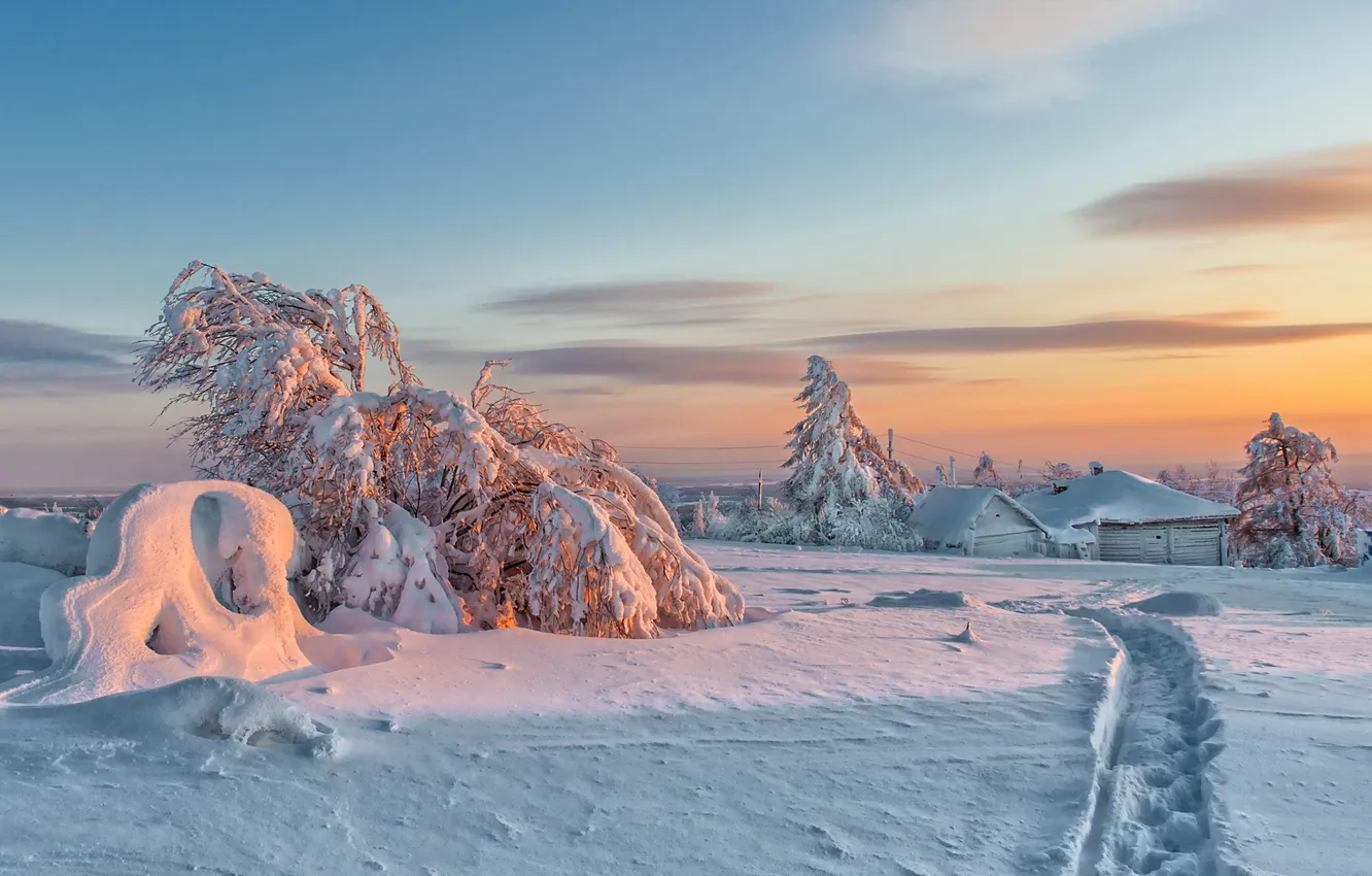 Фото обои зима, снег, пейзаж, закат