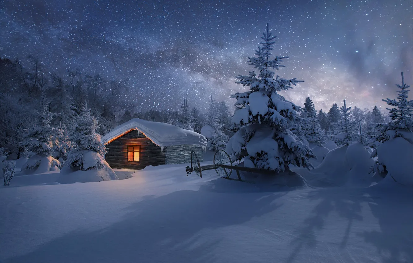Фото обои зима, лес, звезды, свет, снег, ночь, дом, вид