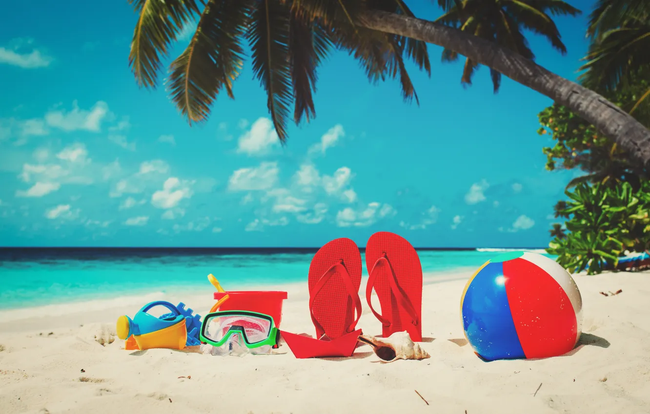 Фото обои песок, море, пляж, лето, отдых, ракушки, summer, beach