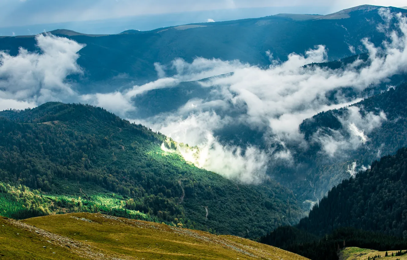 Фото обои лес, солнце, облака, горы, вид сверху, Румыния