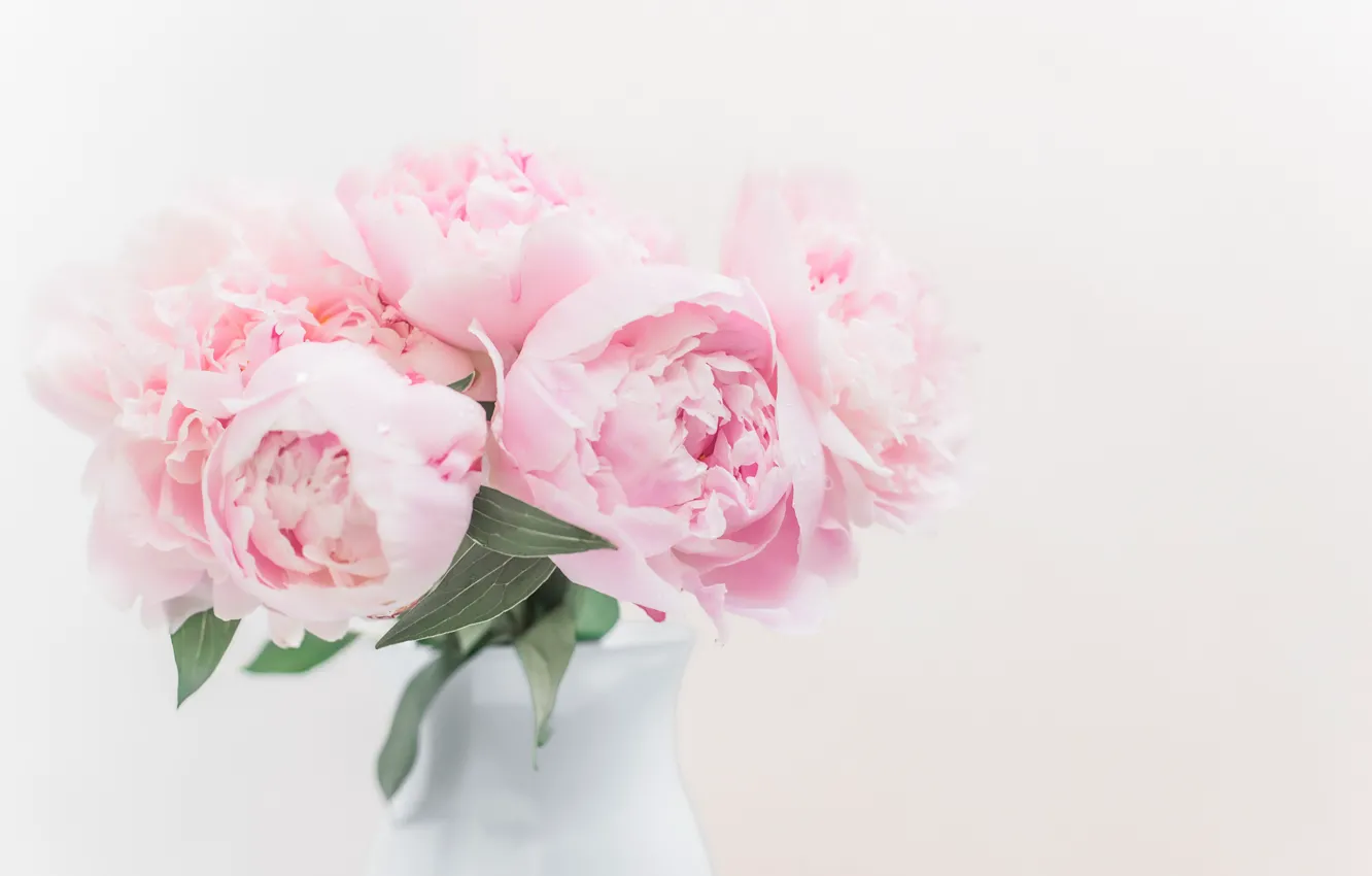 Фото обои букет, розовые, пионы, Tanya Andalina