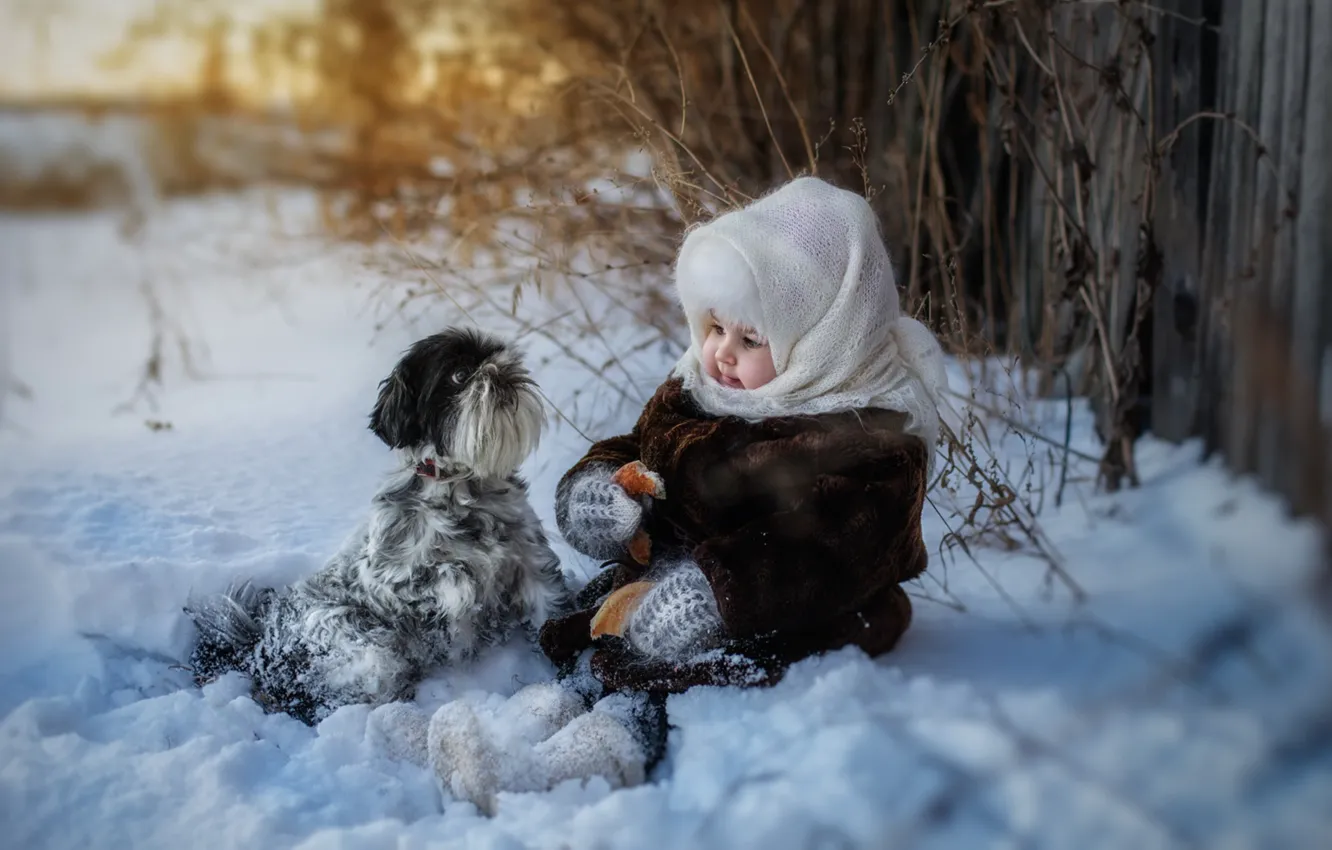 Фото обои зима, снег, собака, девочка, платок, бублик