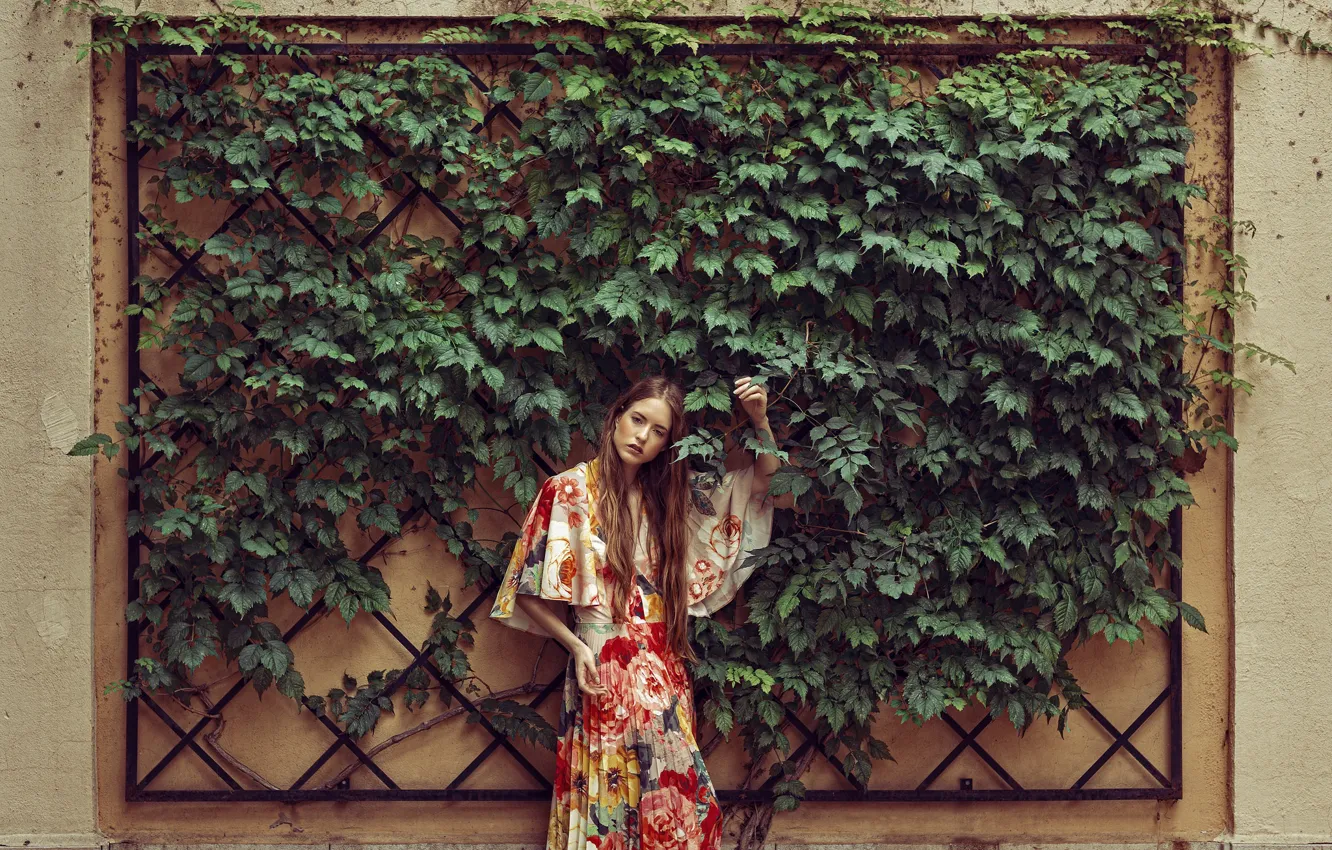 Фото обои листья, девушка, стена, платье, модель взгляд