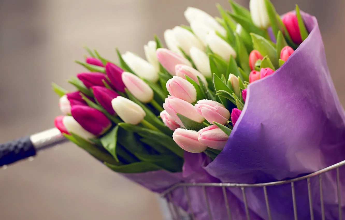 Фото обои капли, цветы, велосипед, букет, тюльпаны, bike, flowers, tulips