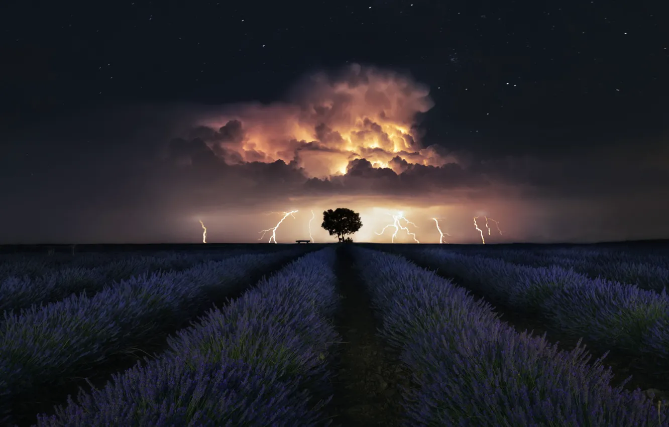 Фото обои гроза, звезды, stars, лаванда, lavender, thunderstorm, Ces@r