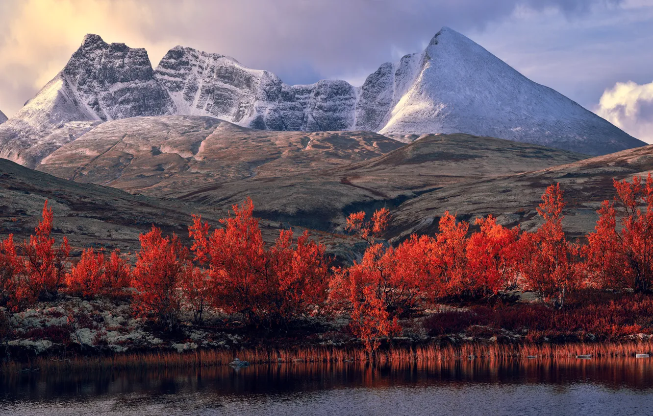 Фото обои осень, снег, деревья, пейзаж, горы, озеро, река, скалы