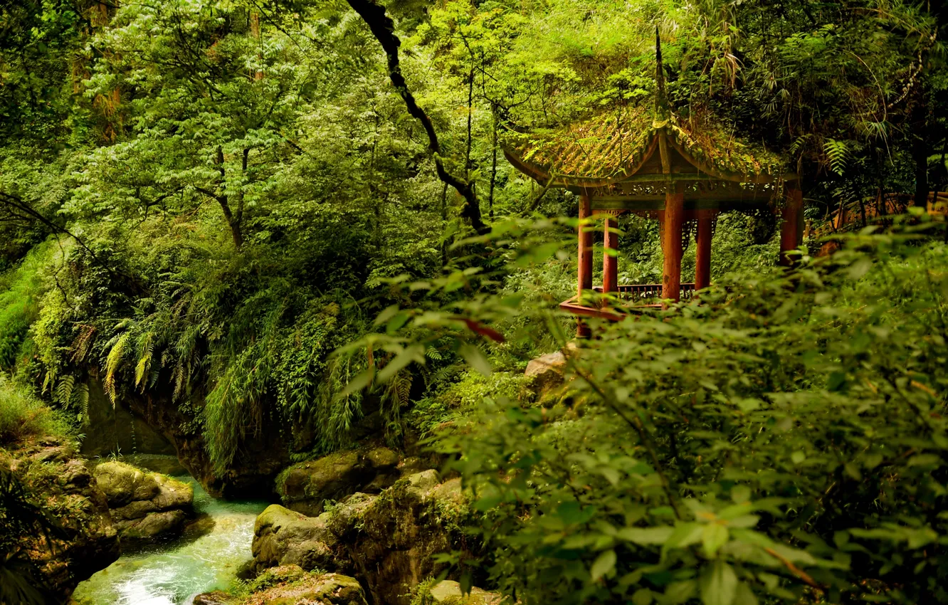 Фото обои деревья, парк, река, China, Китай, беседка, Сычуань, Emeishan National Park