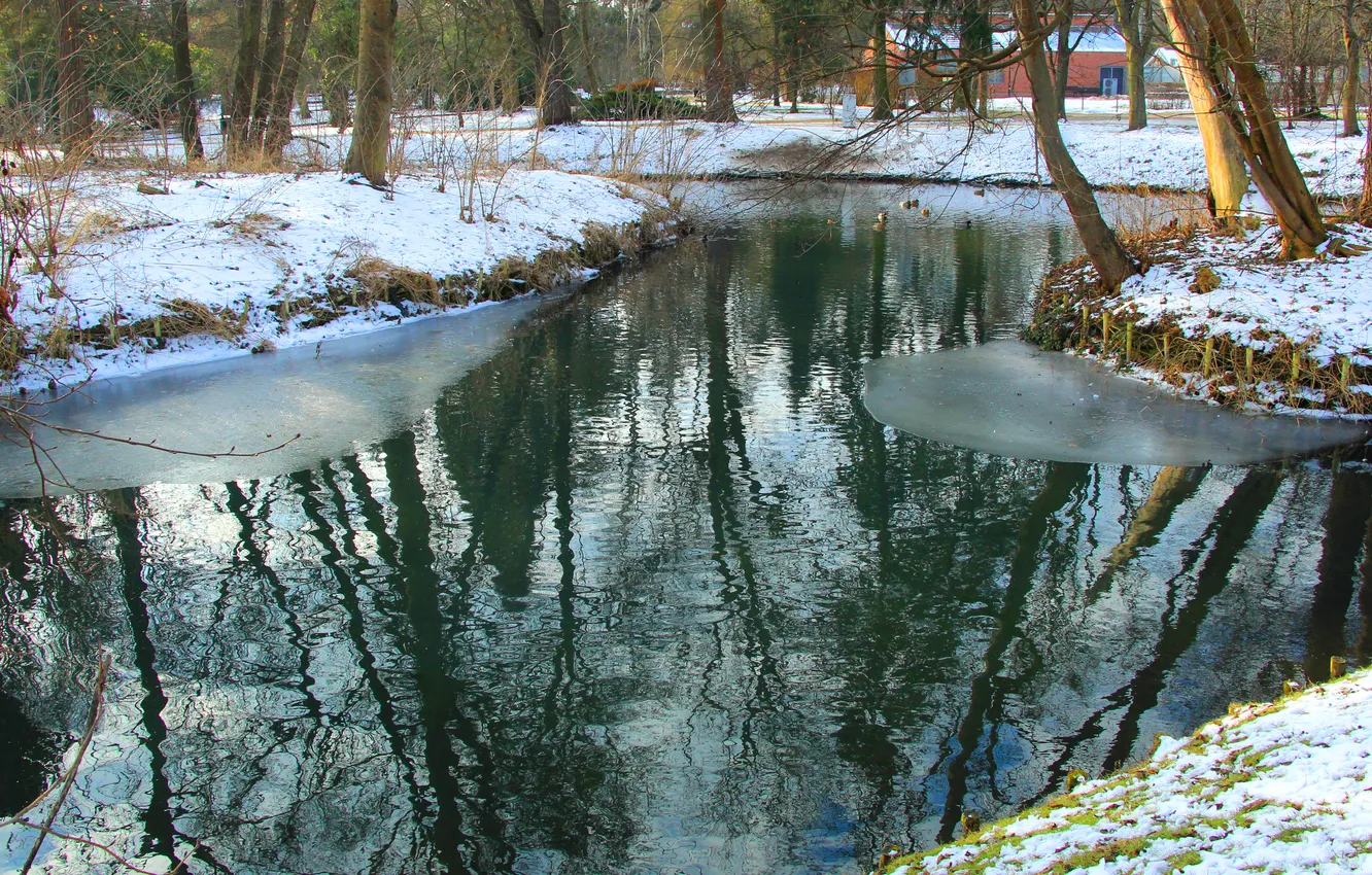 Фото обои water, winter, lake, pond