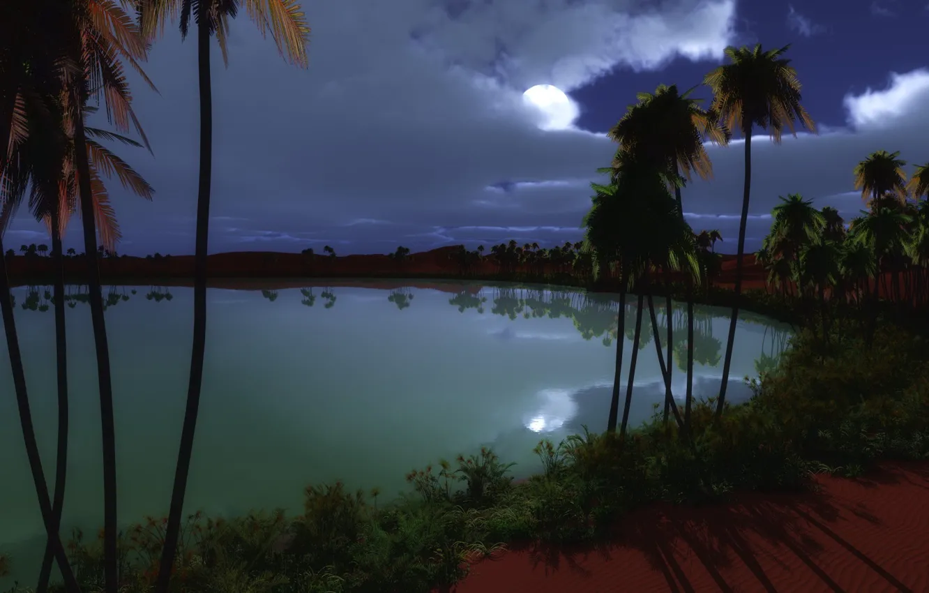 Фото обои ночь, озеро, пальмы, луна, оазис