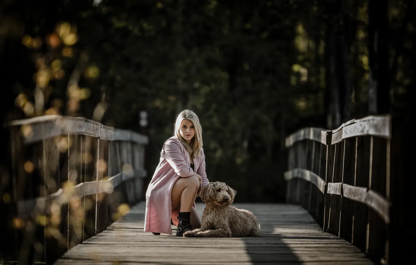 Фото обои девушка, мост, собака
