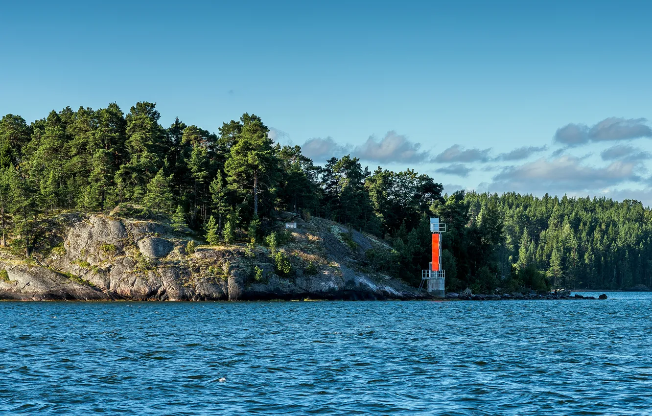 Фото обои лес, деревья, река, берег, Швеция, скалистый, Stockholm