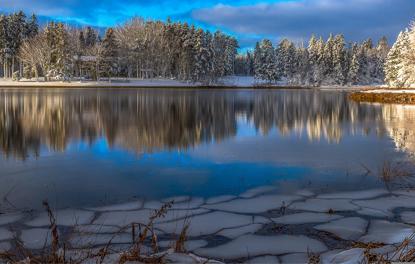 Фото обои зима, снег, деревья, река, river, trees, winter, snow