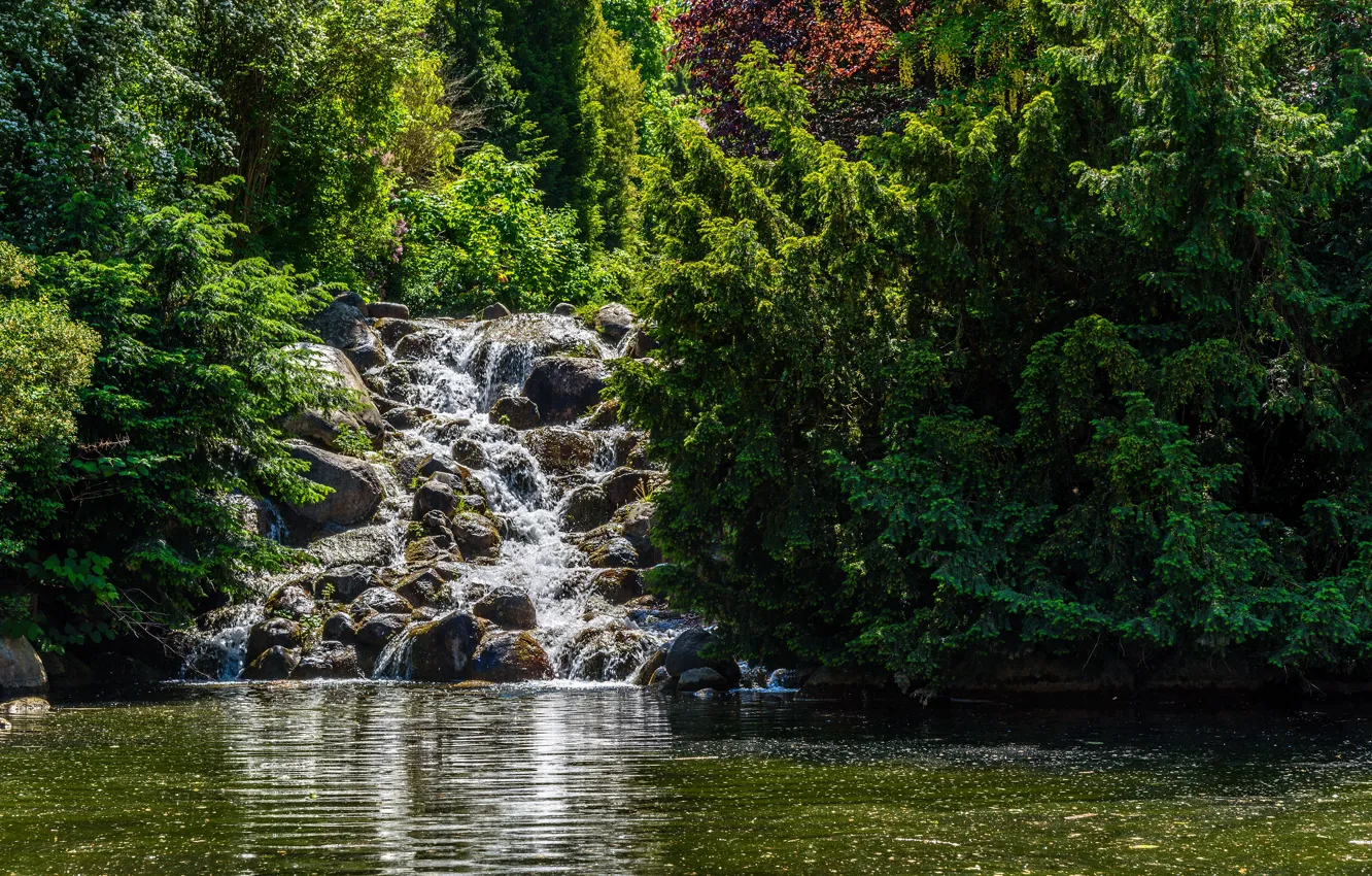 Фото обои зелень, солнце, деревья, пруд, парк, камни, водопад, Германия