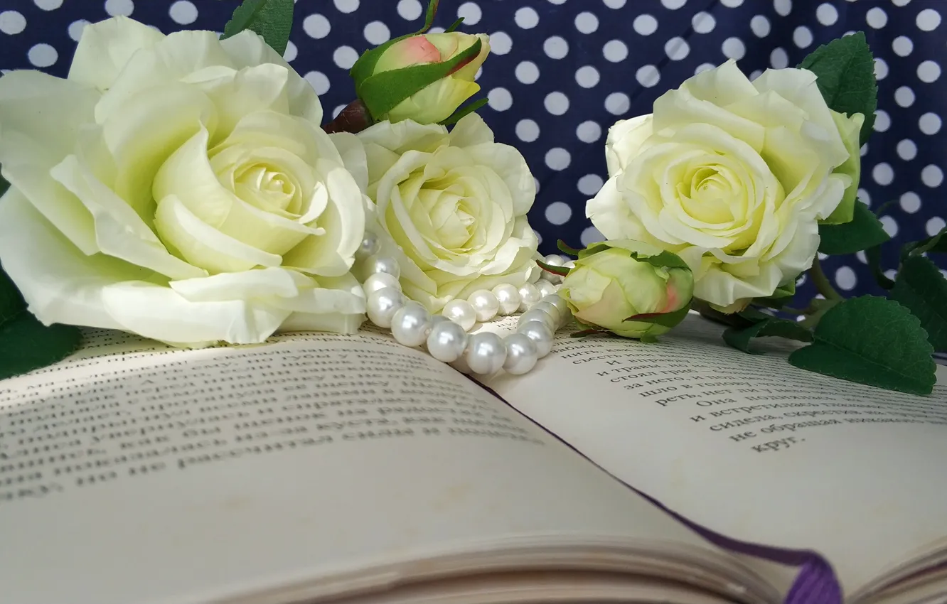 Фото обои цветы, розы, Книга, бусы