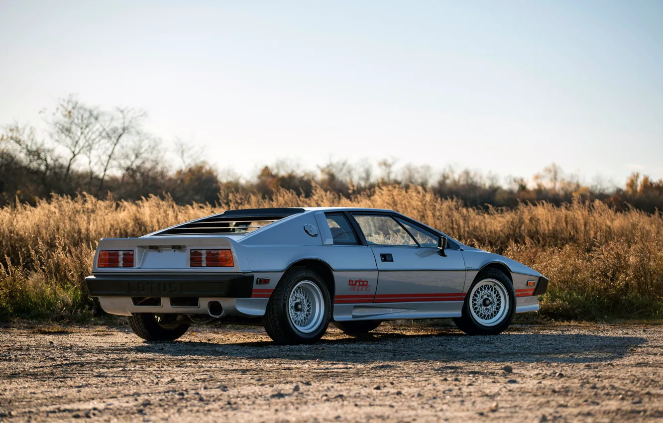 Фото обои sports car, Lotus, Lotus Esprit Turbo, Esprit