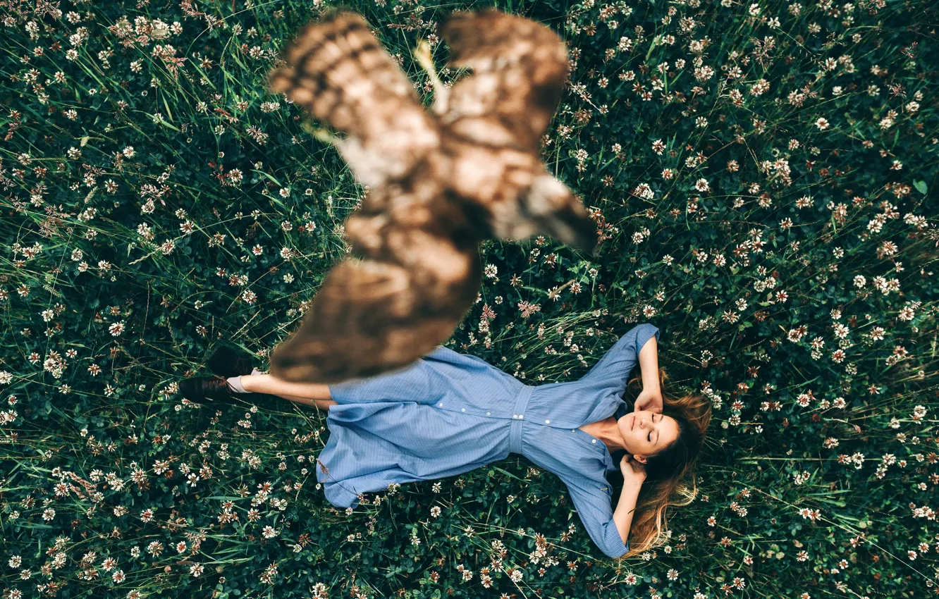 Фото обои трава, девушка, птица, полёт, Rosie Hardy