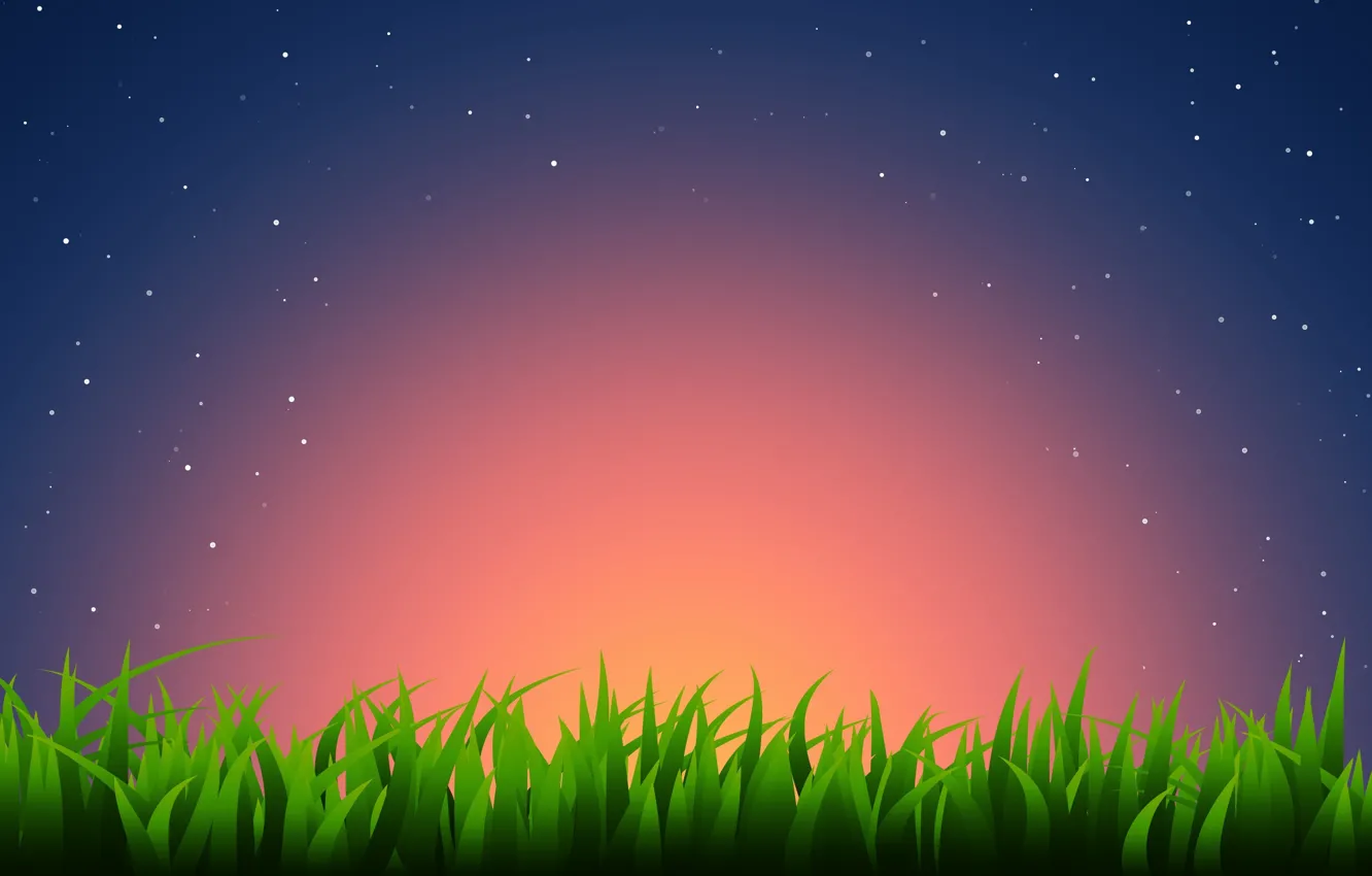 Фото обои трава, звезды, закат