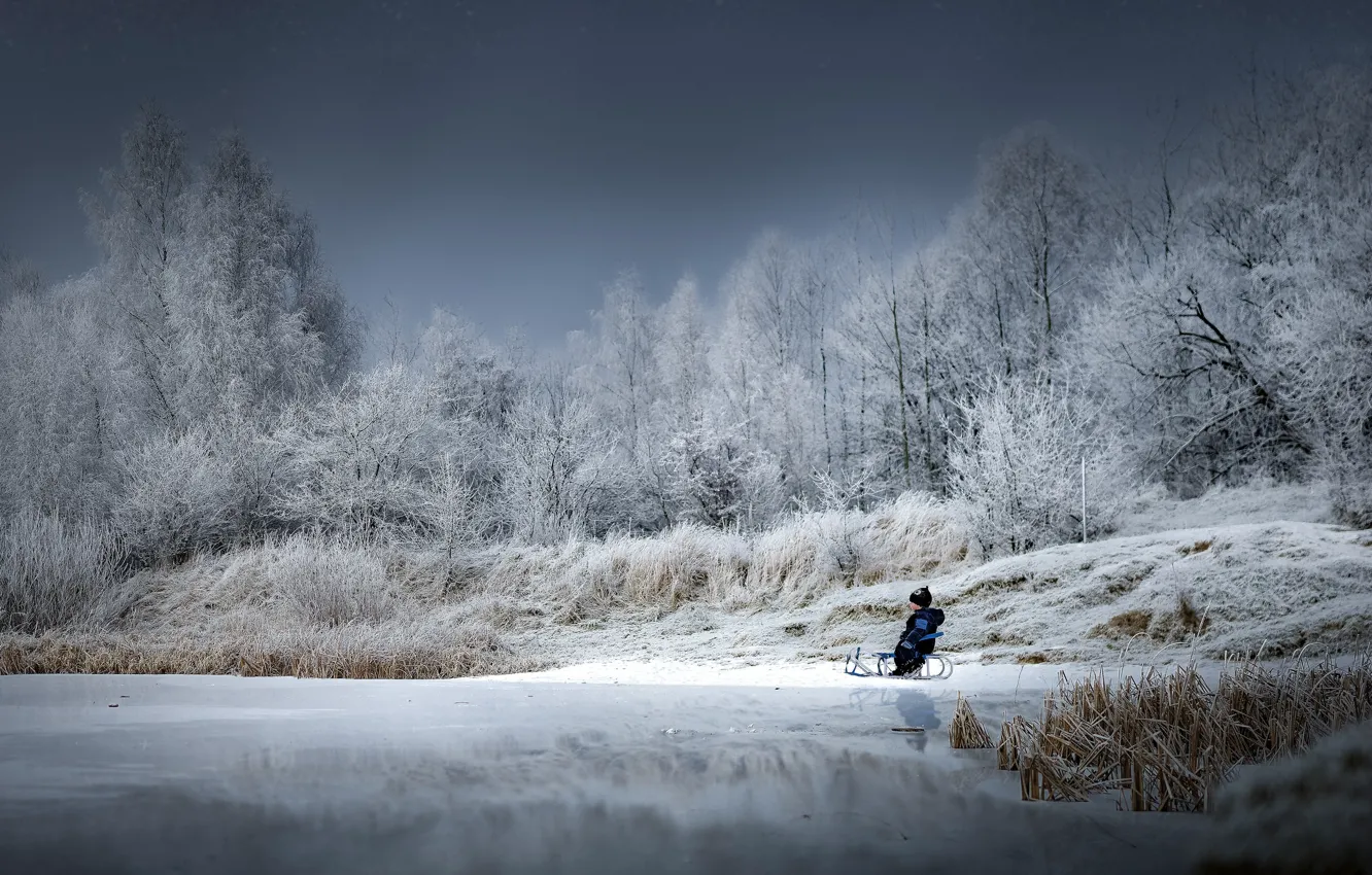 Фото обои зима, озеро, мальчик, санки