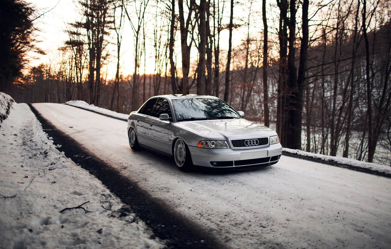 Фото обои лес, снег, Audi, ауди, серебристая, stance, догога