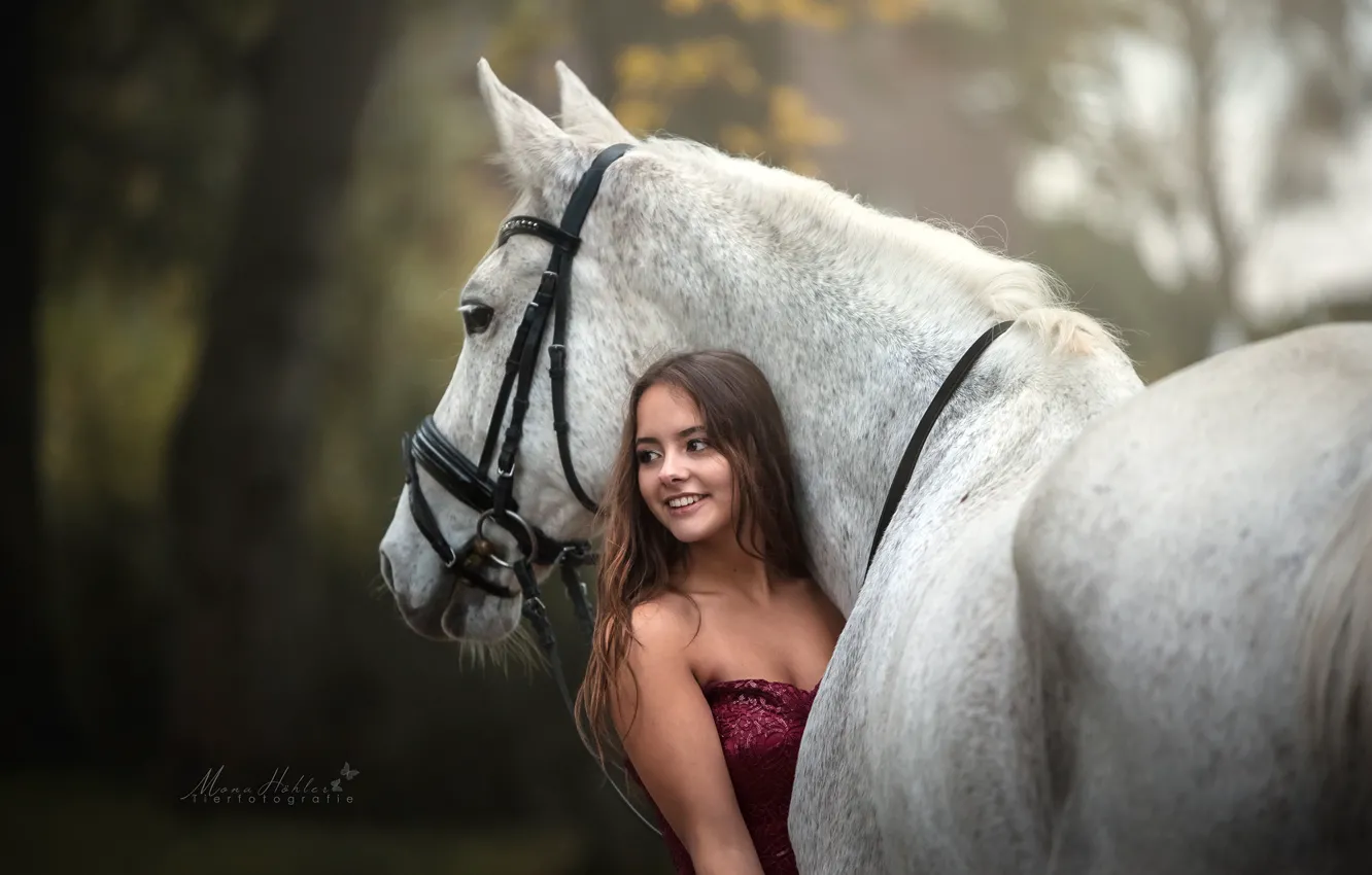 Фото обои девушка, конь, лошадь