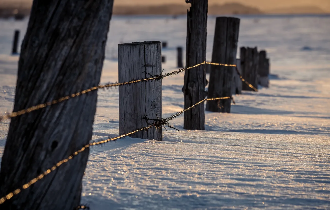 Фото обои winter, snow, fence, sunlight, wire
