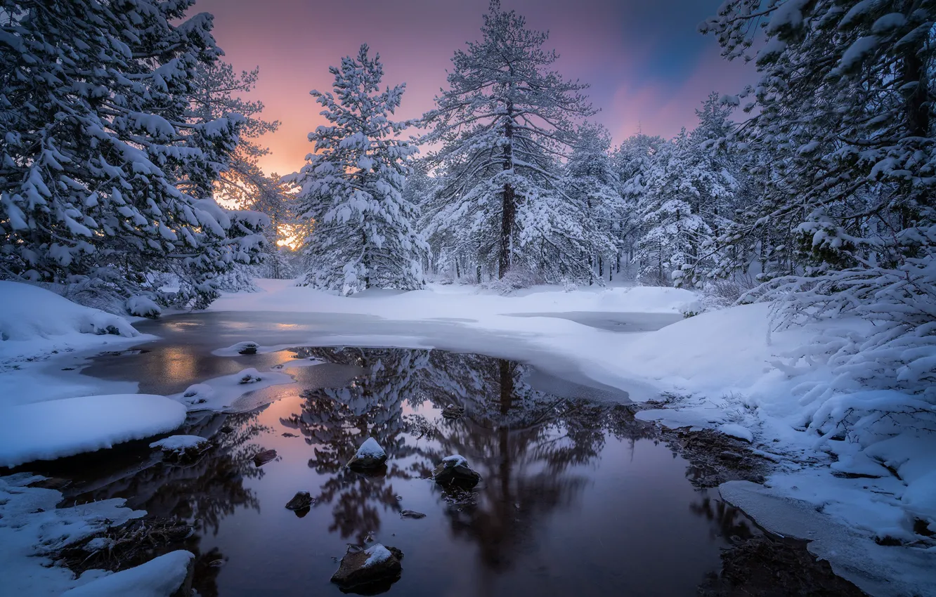 Фото обои зима, лес, снег, деревья, закат, река, Кипр