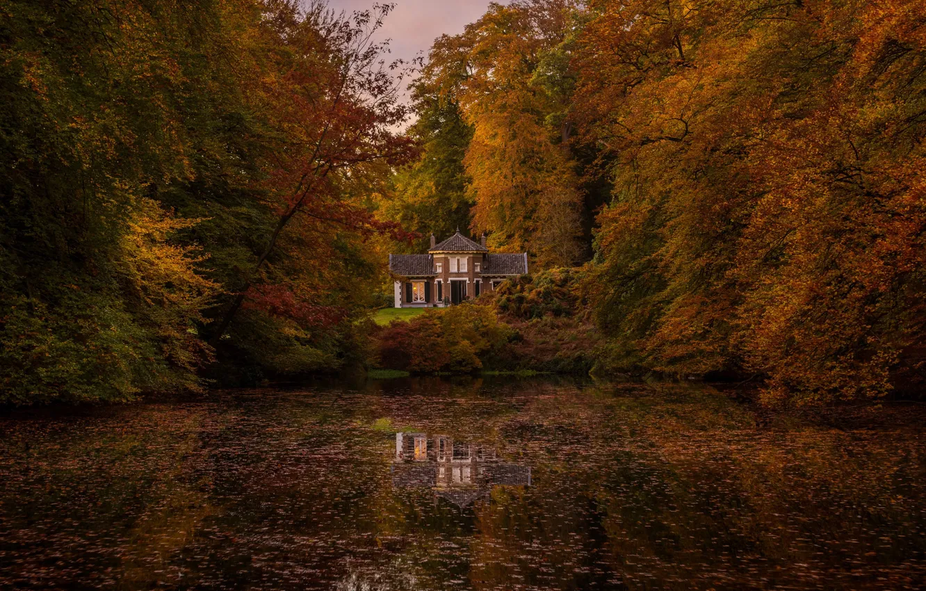 Фото обои осень, лес, природа, озеро, дом