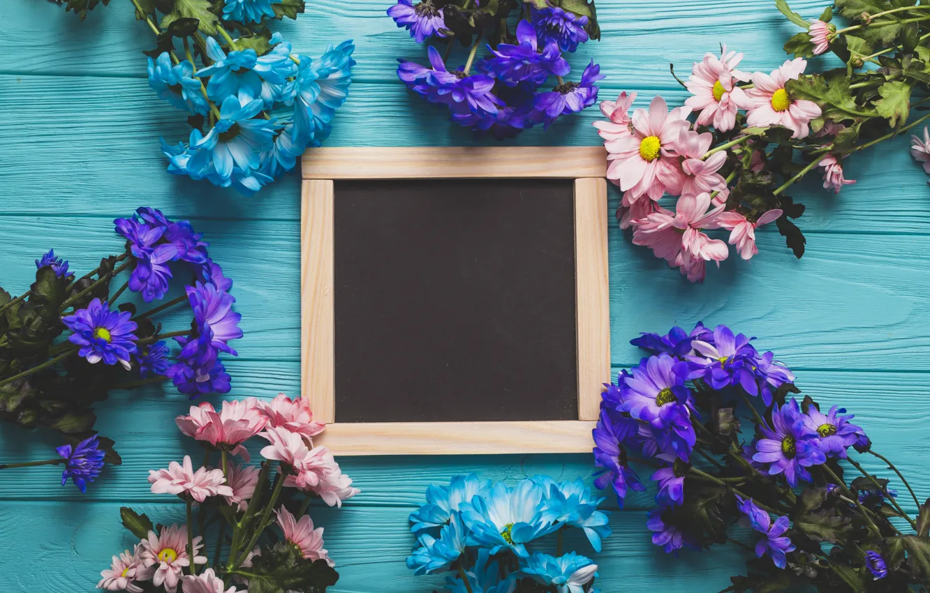 Фото обои цветы, весна, colorful, доска, хризантемы, wood, blue, flowers