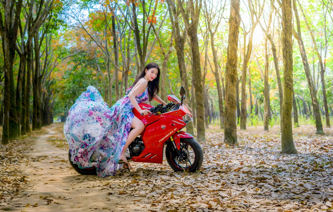 Фото обои wallpaper, girl, sexy, woman, model, china, asian, cute