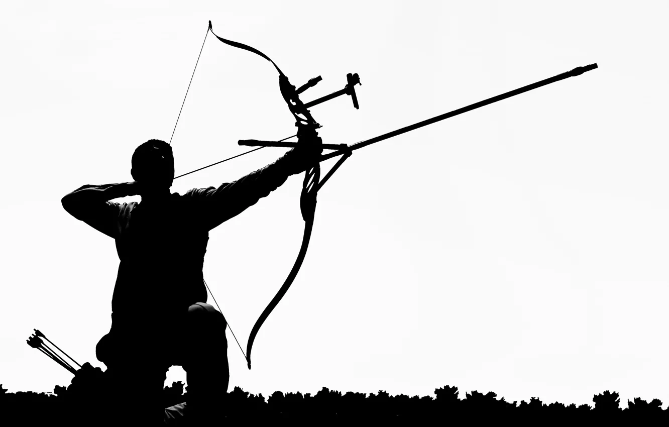Фото обои silhouette, arrow, darter