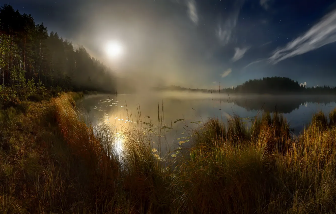 Фото обои осень, закат, туман, озеро