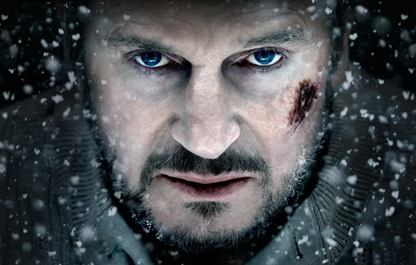 Фото обои взгляд, актер, Liam Neeson, The Grey, лиам нисон