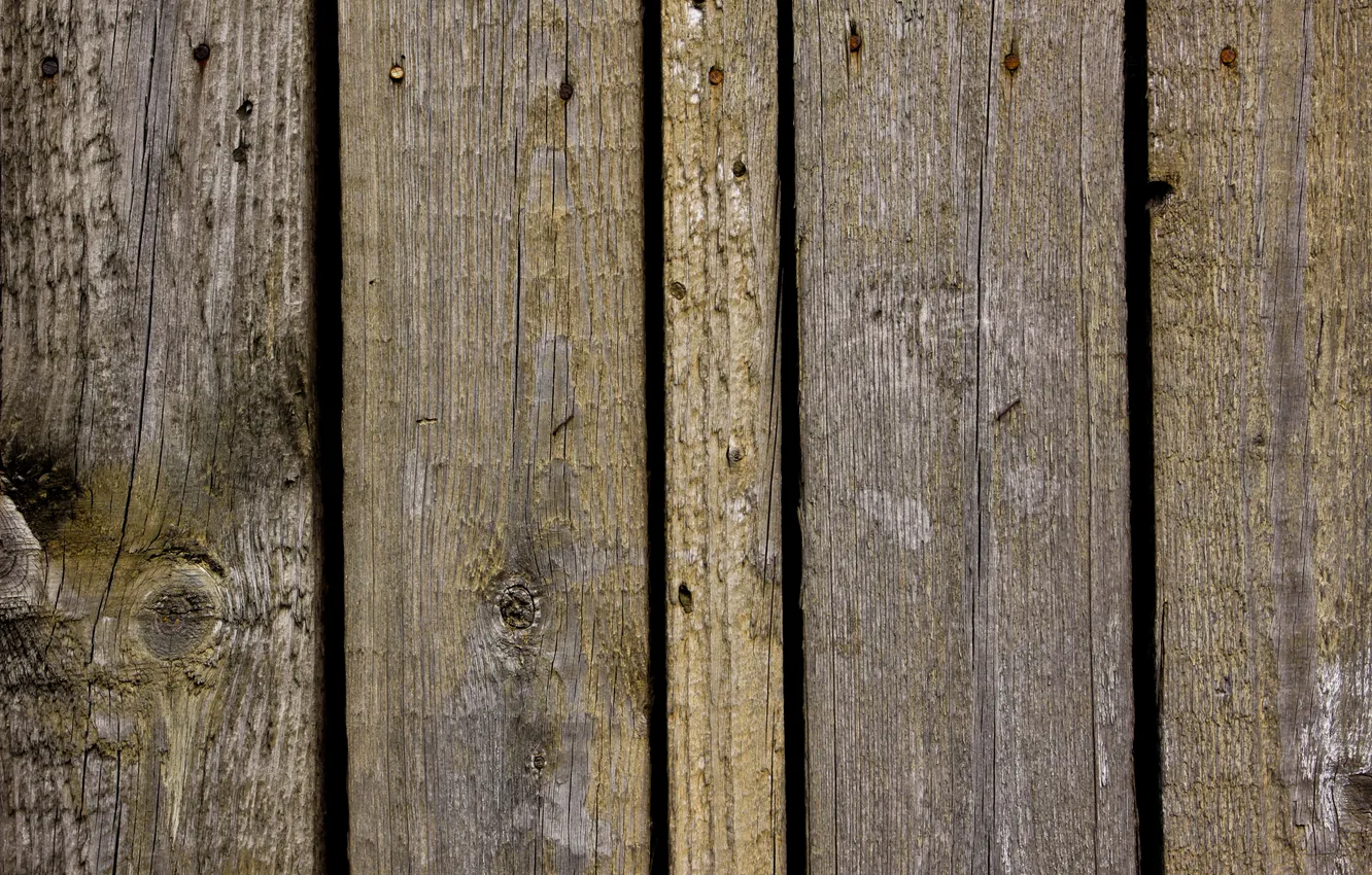 Фото обои wall, wood, pattern, lumber