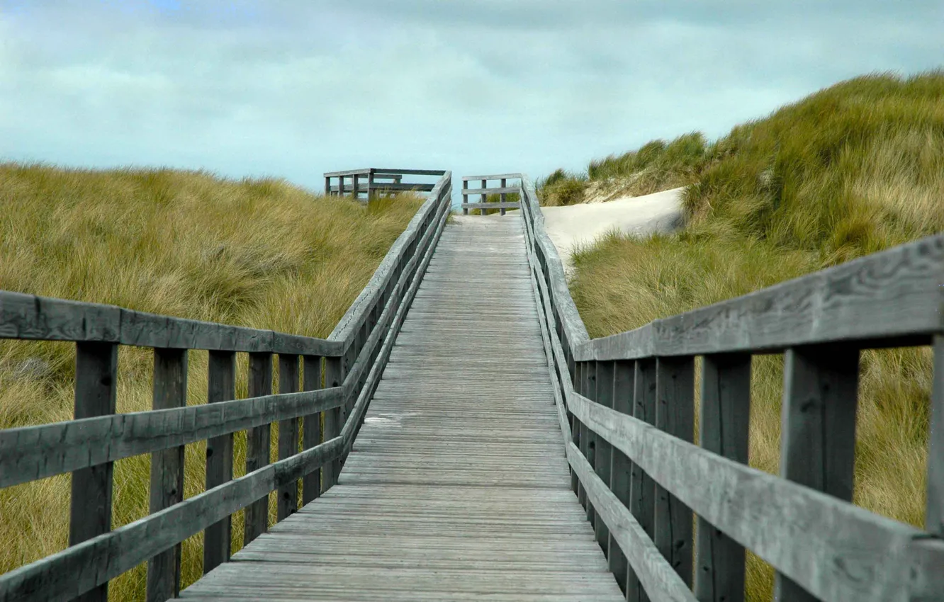 Фото обои grass, beach, wood, wind, cloudy, boardwalk