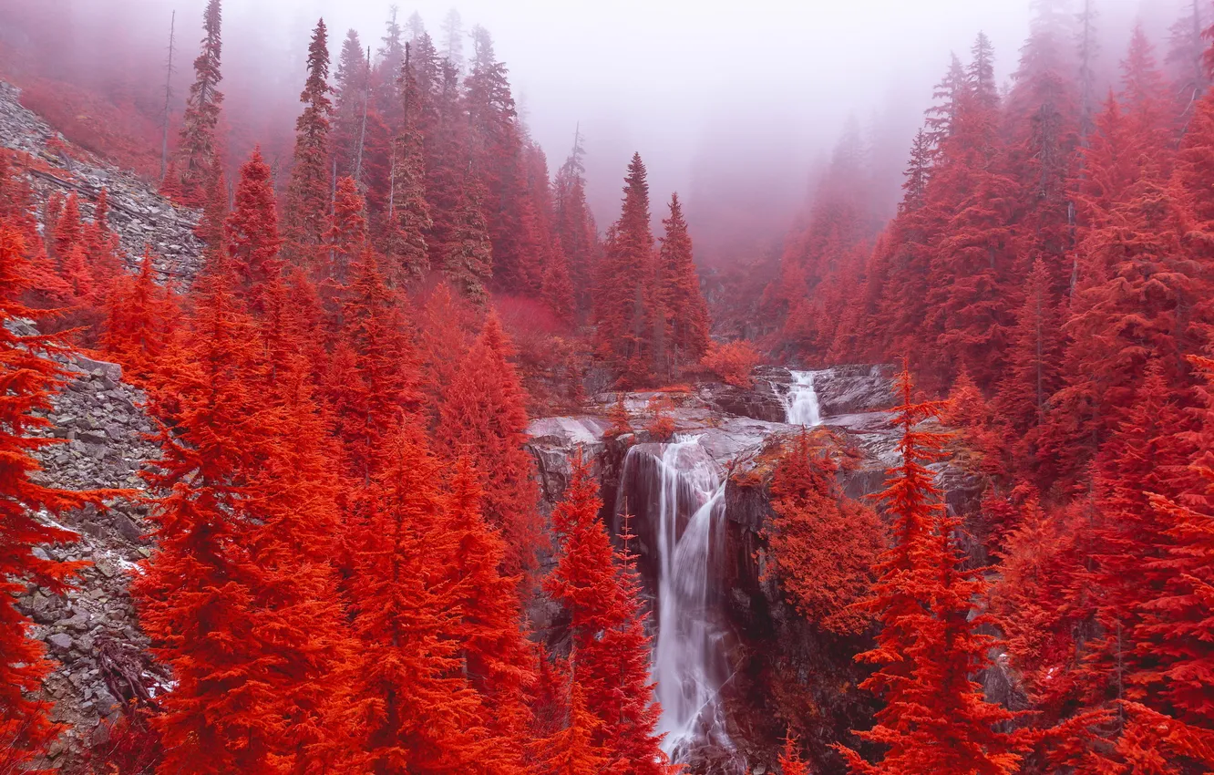 Фото обои United States, Washington, Denny Creek, Keekwulee Falls