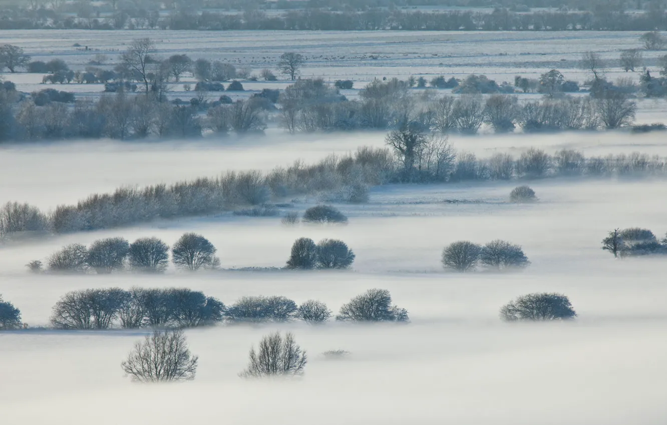Фото обои зима, снег, поля, Англия, Сомерсет